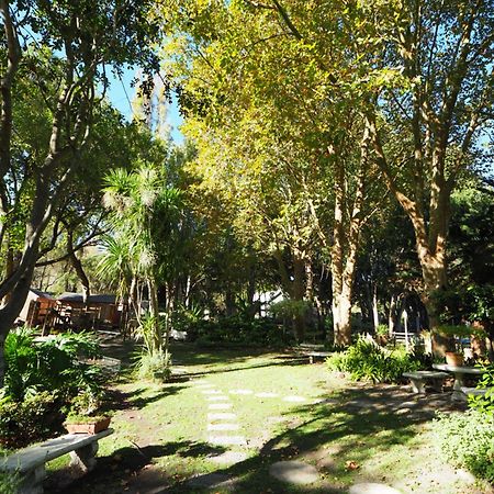 Waterland Lodge Hout Bay Exterior foto
